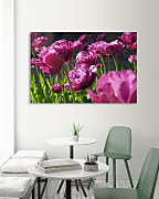 Úžasný obraz s tulipánmi zs1299